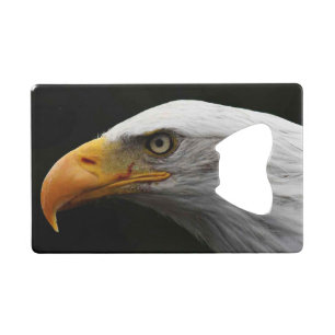 Bald Eagle bocn