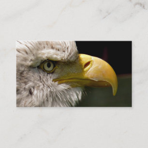 BALD EAGLE BUSINESS CARD