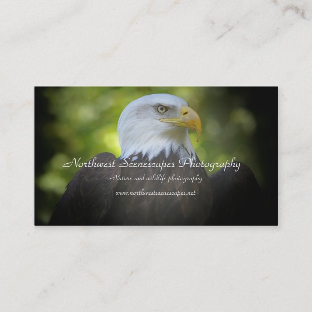 Bald Eagle business card (Front)