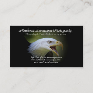 Bald Eagle business card