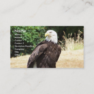 Bald Eagle. Business Card