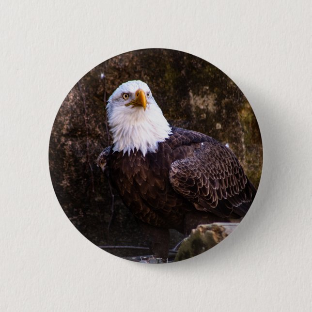 Bald Eagle Button (Front)