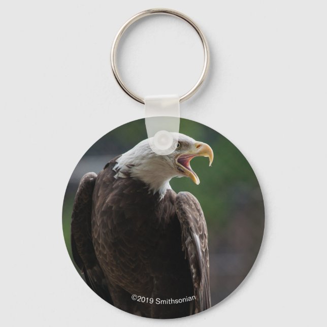 Bald Eagle Calling Key Ring (Front)