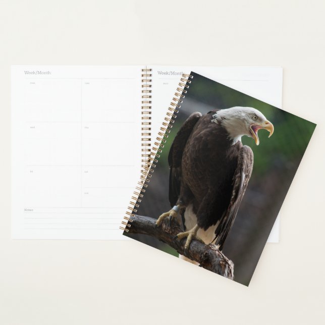 Bald Eagle Calling Planner (Display)