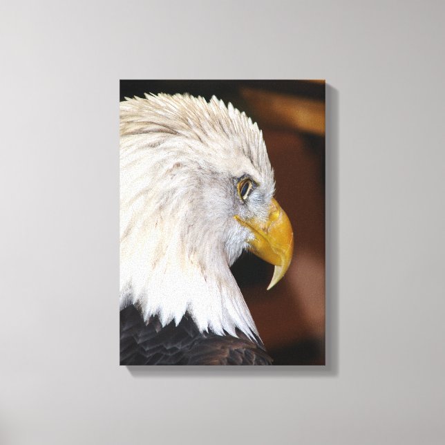 Bald Eagle Canvas Print (Front)
