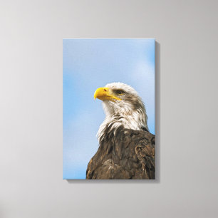 Bald Eagle Canvas Print