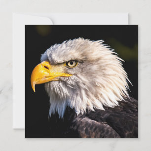 Bald Eagle Card
