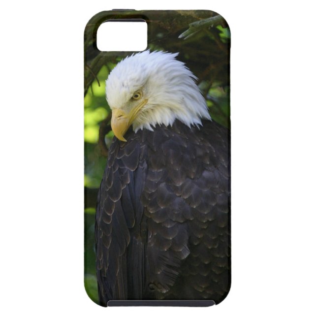 Bald Eagle Case-Mate iPhone Case (Back)