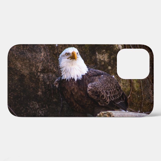 Bald Eagle Case-Mate iPhone Case (Back (Horizontal))