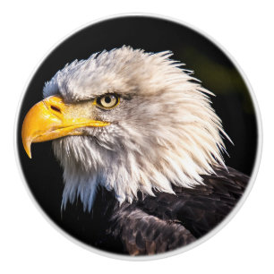 Bald Eagle Ceramic Knob