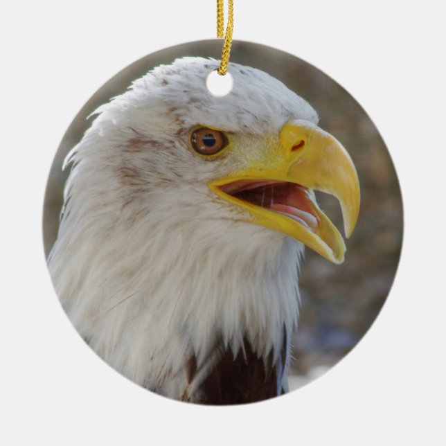 Bald Eagle Ceramic Tree Decoration (Front)