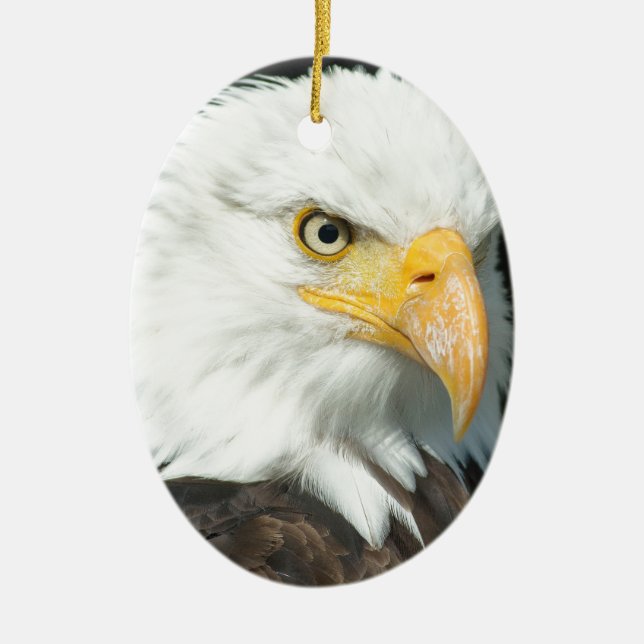 Bald Eagle Ceramic Tree Decoration (Front)