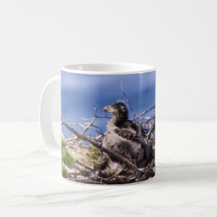 Bald Eagle Chick - Mugs