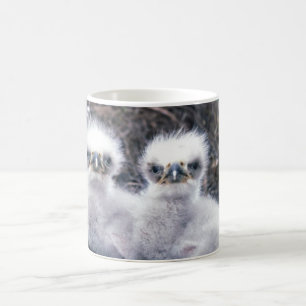 Bald Eagle Chicks Coffee Mug