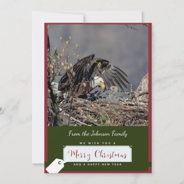 Bald Eagle Christmas Card (Front)
