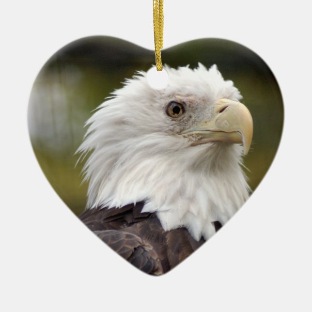 Bald Eagle Christmas Ornament (Front)