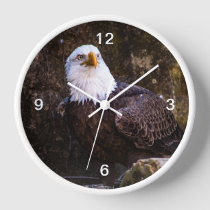 Bald Eagle Clock