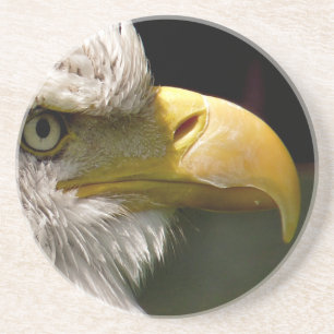 BALD EAGLE COASTER