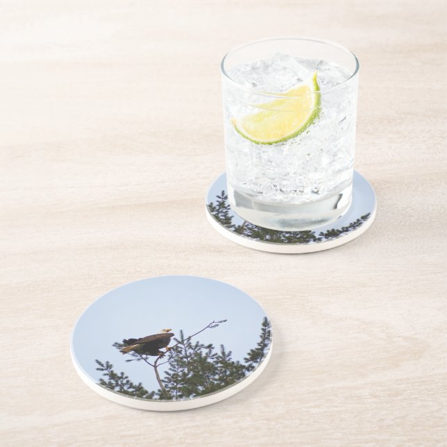 Bald Eagle Coaster (Side)