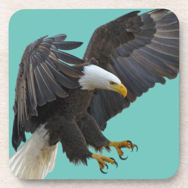 Bald eagle coaster (Front)