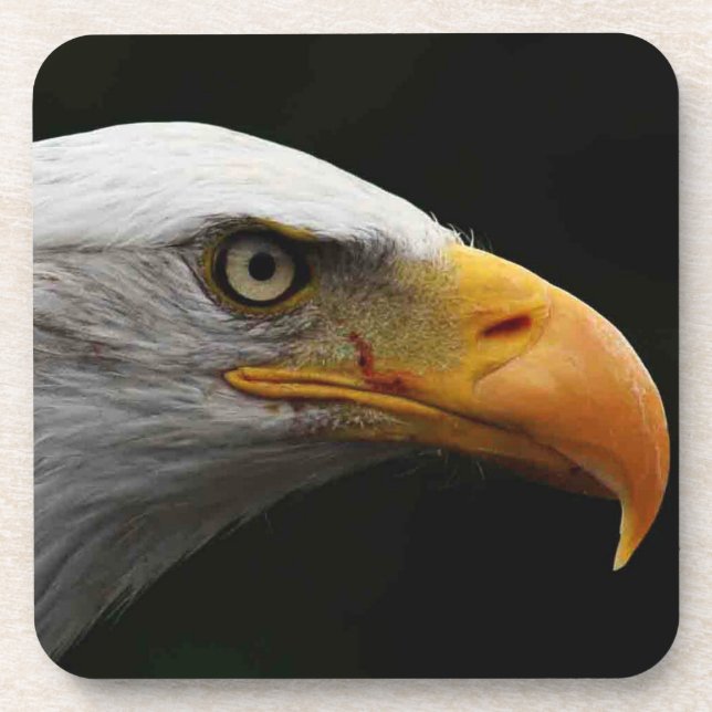 Bald Eagle coastercna Coaster (Front)