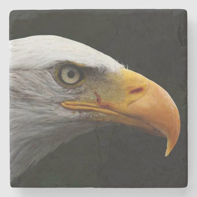 Bald Eagle coastercna Stone Coaster (Front)