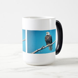Bald Eagle Color Morphing Mug
