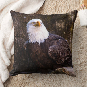 Bald Eagle Cushion