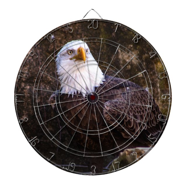 Bald Eagle Dartboard (Front)