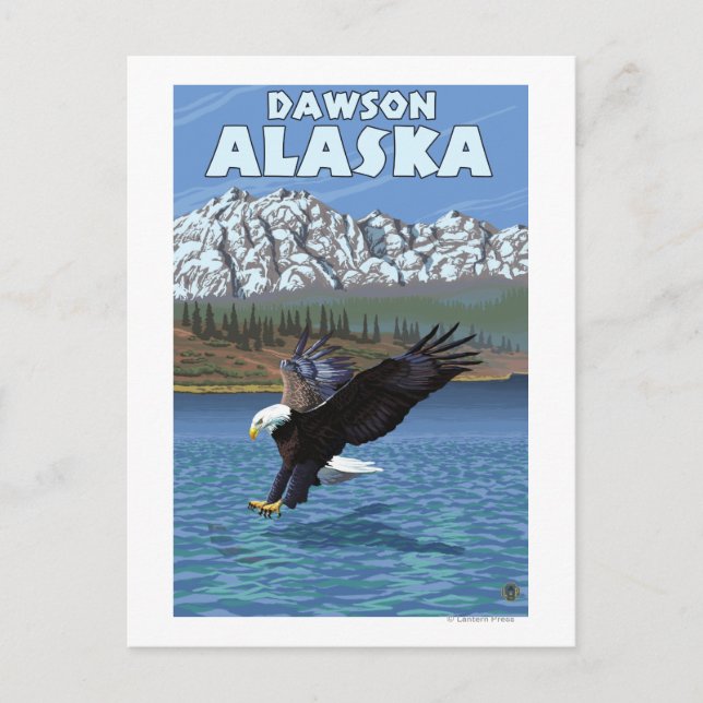 Bald Eagle Diving - Dawson, Alaska Postcard (Front)