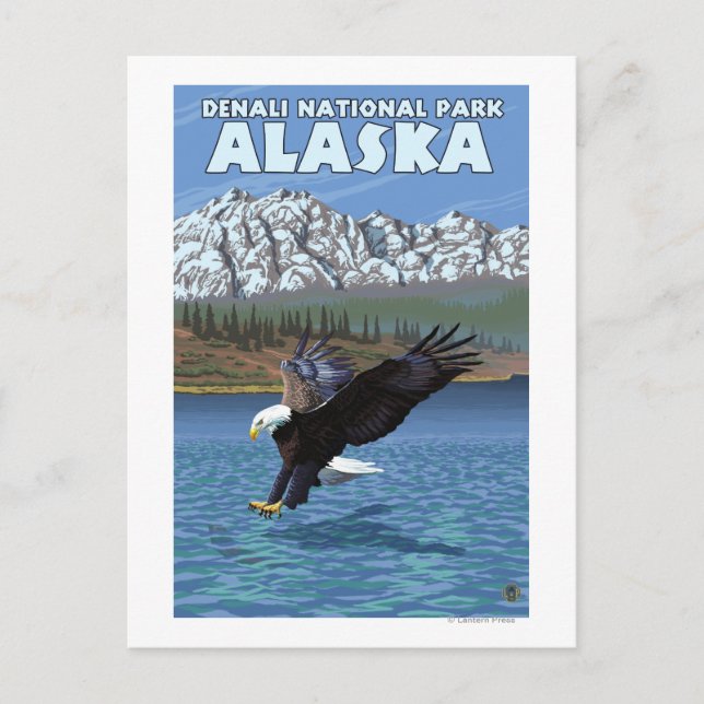 Bald Eagle Diving - Denali National Park, Alaska Postcard (Front)