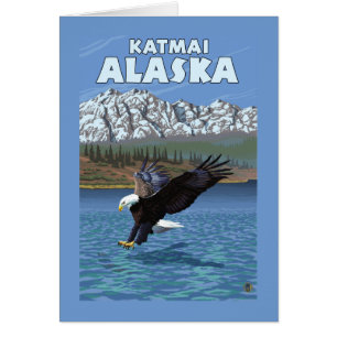 Bald Eagle Diving - Katmai, Alaska