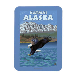Bald Eagle Diving - Katmai, Alaska Magnet