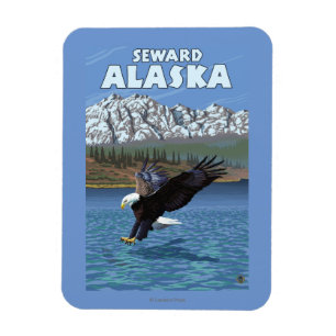 Bald Eagle Diving - Seward, Alaska Magnet