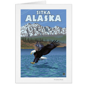 Bald Eagle Diving - Sitka, Alaska