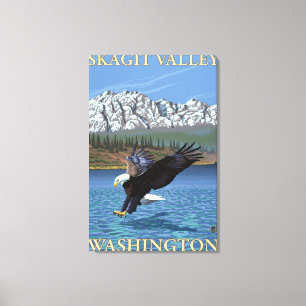 Bald Eagle Diving - Skagit Valley, Washington Canvas Print