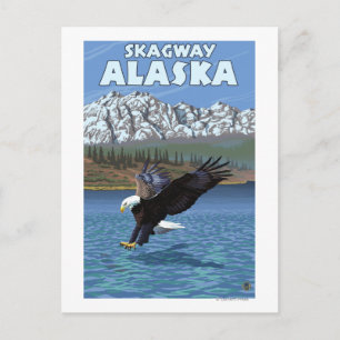 Bald Eagle Diving - Skagway, Alaska Postcard