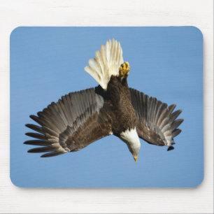 Bald Eagle diving towards the water Mouse Pad