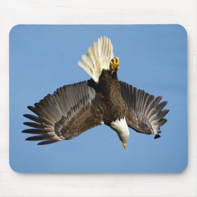 Bald Eagle diving towards the water Mouse Pad (Front)