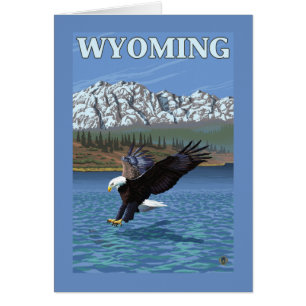 Bald Eagle Diving - Wyoming