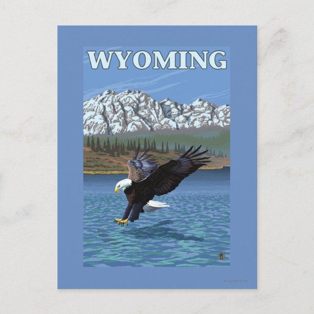 Bald Eagle Diving - Wyoming Postcard (Front)