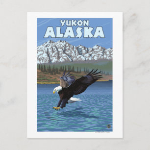 Bald Eagle Diving - Yukon, Alaska Postcard