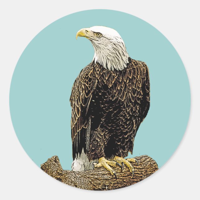 Bald Eagle Drawing Classic Round Sticker (Front)