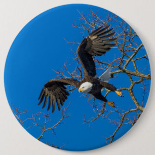 Bald Eagle Drop 6 Cm Round Badge