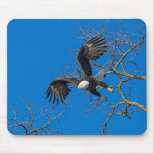 Bald Eagle Drop Mouse Pad
