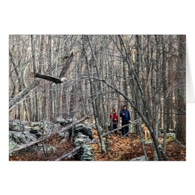 Bald Eagle Encounter (Front Horizontal)