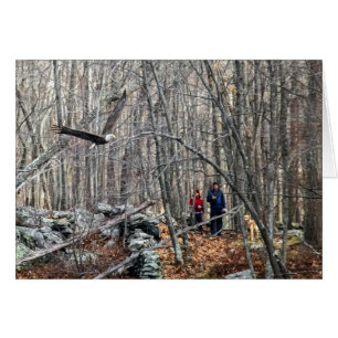 Bald Eagle Encounter