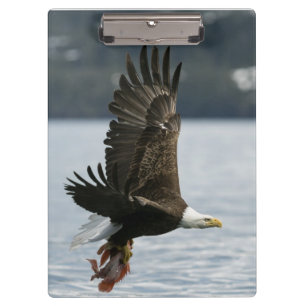 Bald Eagle Fish Retrieval Clipboard