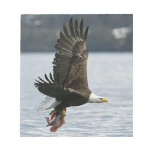 Bald Eagle Fish Retrieval Notepad