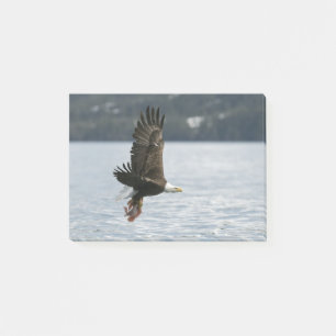 Bald Eagle Fish Retrieval Post-it Notes